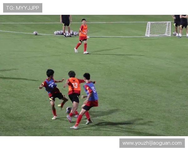 《从绿茵场到全球聚光灯:足球运动员的荣耀与挑战》 《从绿茵场到全球聚光灯:足球运动员的荣耀与挑战》