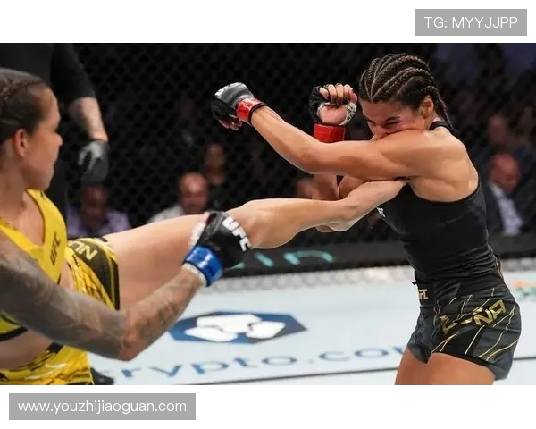 努涅斯在赛场上的崛起与挑战解析,未来能否成为足球界的新星 努涅斯在赛场上的崛起与挑战解析,未来能否成为足球界的新星