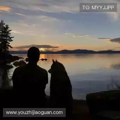 蔡骊祺